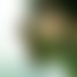 Cztery pory roku w życiu kobiety