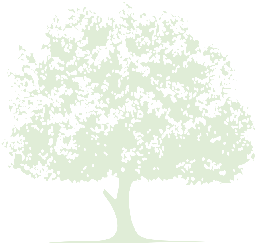 TREE_edited.png