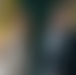 Gala Konkursu Woman in Business Award 2024