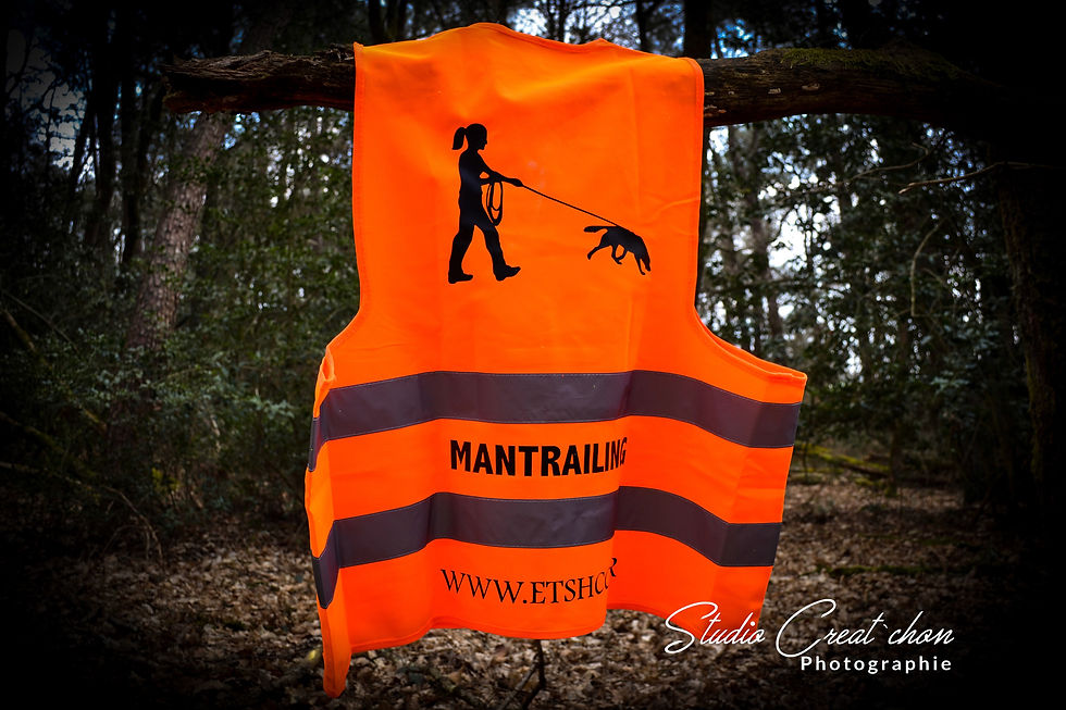 Miniature : Gilet personnalisés basique 