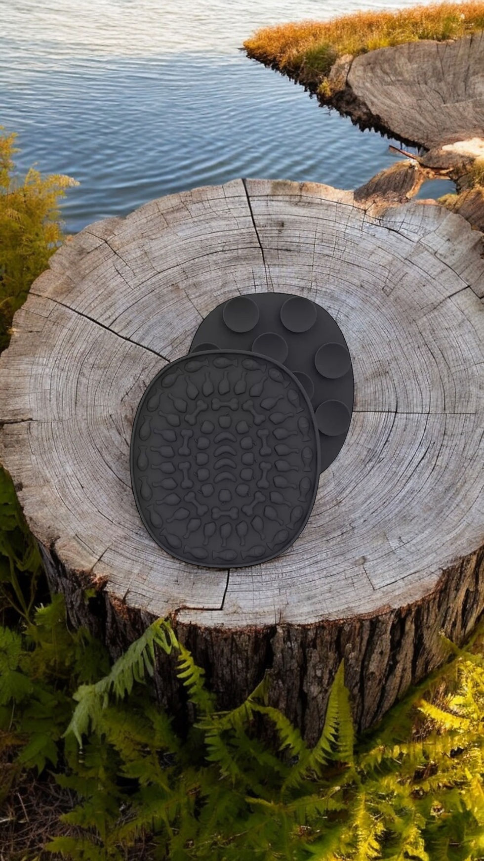 Miniature : Tapis de léchage