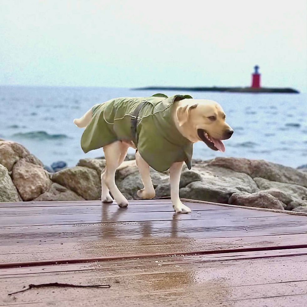 Miniature : Manteau Ouragan