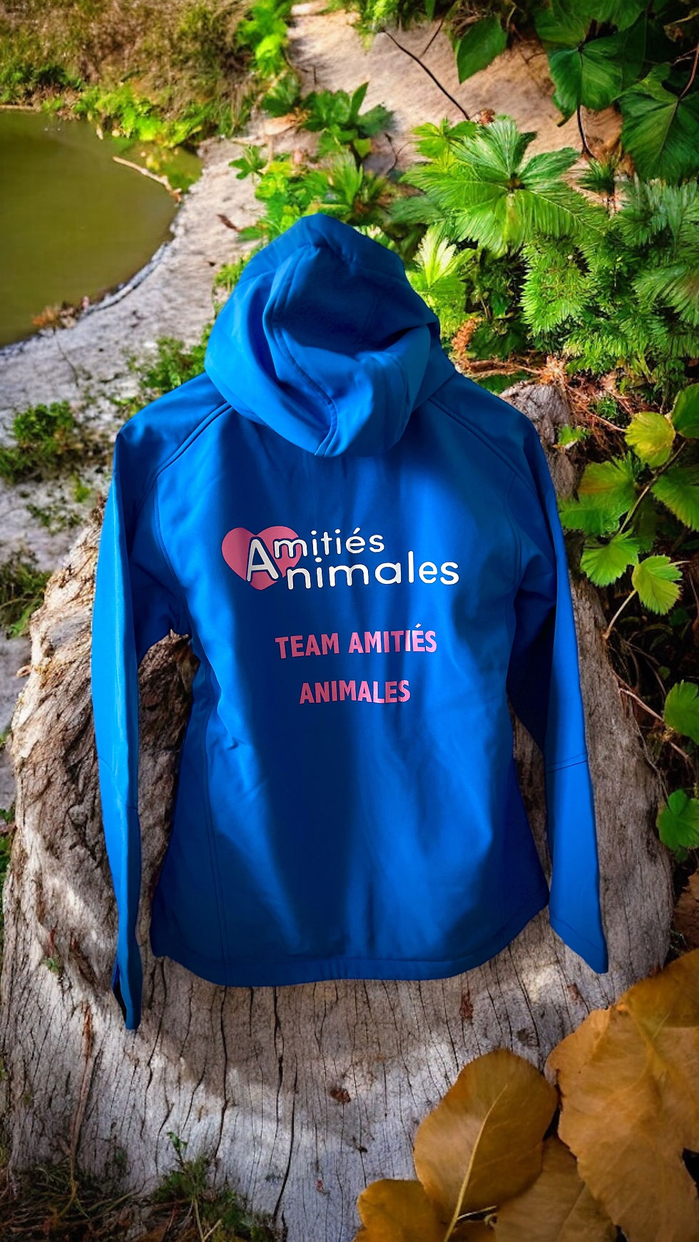 Miniature : Softshell 