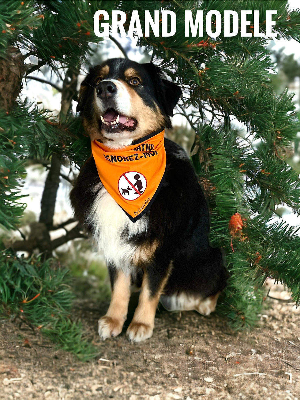 Miniature : Bandana Personnalisé 