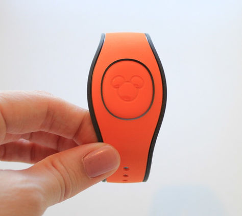 What is a Magicband and how do I get one?