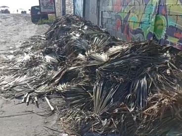ACUMULACIĆN DE BASURA EN LAS PLAYAS DE ROSARITO
