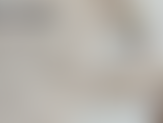 DEJAN CALLE ABIERTA EN LA GRAL. ANGEL VICARIO DE LA COLONIA BENITO JUĆREZ