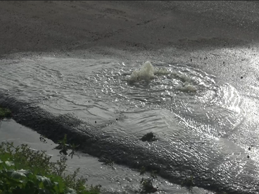 FUGA DE AGUAS NEGRAS EN BLVD BENITO JUĆREZ