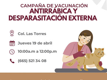 ANUNCIAN VACUNACIÓN ANTIRRÁBICA EN LAS TORRES