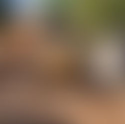 IMPACTA TIJUANA A MÁS DE 18 MIL PERSONAS CON JORNADA DE LIMPIEZA