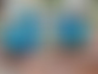 TRIUNFA BAJA CALIFORNIA EN EL NACIONAL DE PESCA DEPORTIVA DE PLAYA: SEPESCA