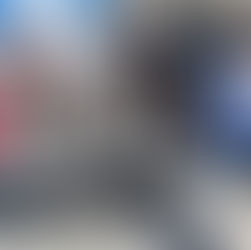 RESGUARDAN A SIETE CANINOS EN SITUACIÓN DE CALLE EN TIJUANA