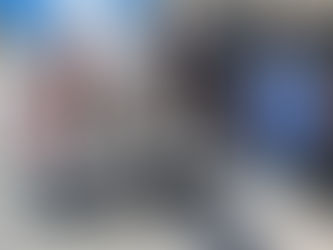 RESGUARDAN A SIETE CANINOS EN SITUACIÓN DE CALLE EN TIJUANA