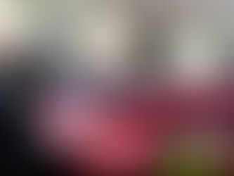 ENCABEZA PRESIDENTE MUNICIPAL ISMAEL BURGUEĆO MESA DE COORDINACIĆN PARA LA CONSTRUCCIĆN DE PAZ Y SEGURIDAD DE TIJUANA