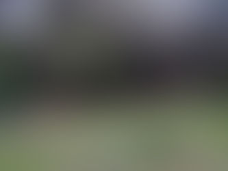 LO ASESINAN A APUĆALADAS EN LOS ENCINOS