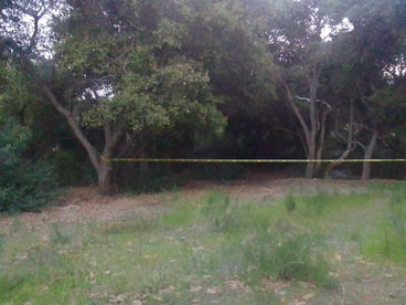 LO ASESINAN A APUĆALADAS EN LOS ENCINOS