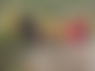 ACCIDENTE EN LA CASCADA DE ENSENADA DEJA DOS LESIONADOS