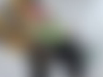 SE SUMA GOBIERNO MUNICIPAL DE TIJUANA A DIFUSIÓN DE LA CAMPAÑA CONSULAR CONOCE TUS DERECHOS