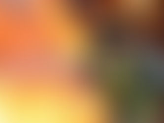 SE INCENDIA CASA EN COLONIA REVOLUCIĆN