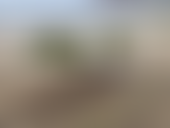 VUELVE A ROMPERSE EL SUELO DEL MUELLE EN PLAYA HERMOSA