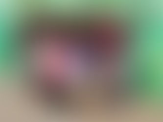 IMPULSA SADER BC EN LA NIĆEZ EL VALOR DE LA LABOR JORNALERA A TRAVĆS DE OBRA DE TEATRO āBAĆL MĆGICOā