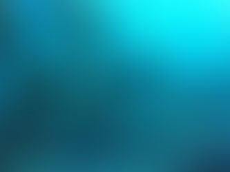 INVITA SEPESCA BC A TALLER DE BOSQUES DE MACROALGAS