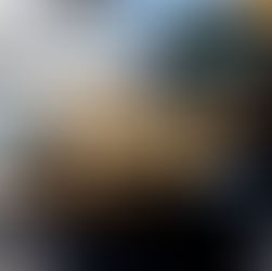 RECOLECTA GOBIERNO DE TIJUANA 40 TONELADAS DE BASURA EN COLONIAS DE LAS DELEGACIONES OTAY CENTENARIO Y SÁNCHEZ TABOADA