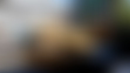 RECOLECTA GOBIERNO DE TIJUANA 40 TONELADAS DE BASURA EN COLONIAS DE LAS DELEGACIONES OTAY CENTENARIO Y SÁNCHEZ TABOADA