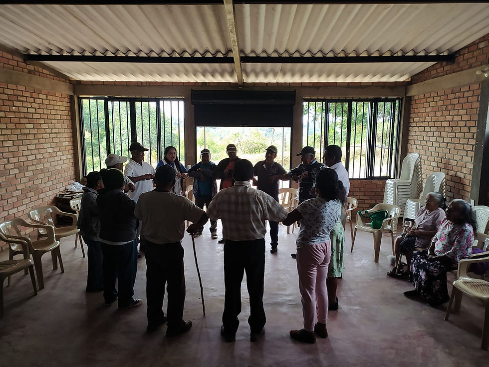 La música como terapia con Adultos Mayores