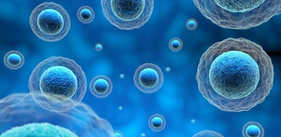 exosomes.png