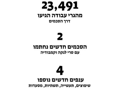 סיכום שנת 2025 בתחומי העמותה המרכזיים