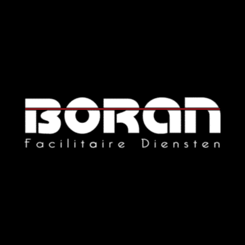 boran logo