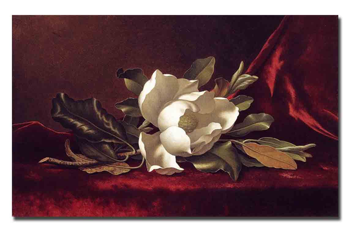 Картина_Хед М., "Цветок магнолии"
