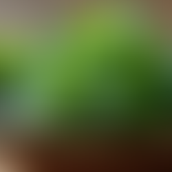 Effective Herbal Detoxification Methods for Better Health