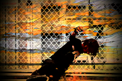 Good thing for the light!