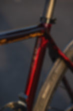Argonaut RM3 detail shot, custom carbon road bike geometry and finish