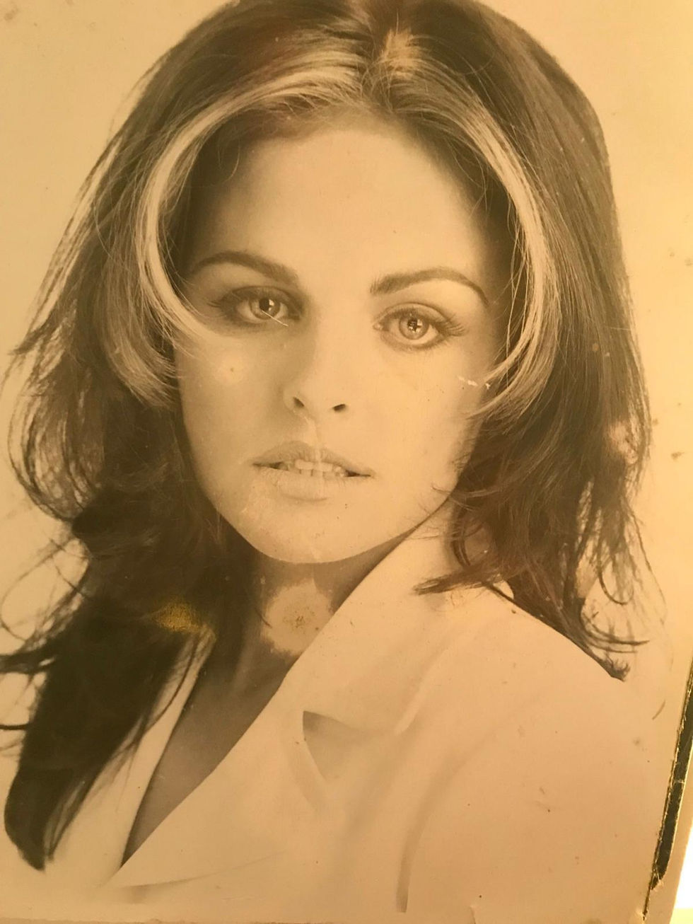 8ce7f047-779c-473a-a694-e03769bfd99e