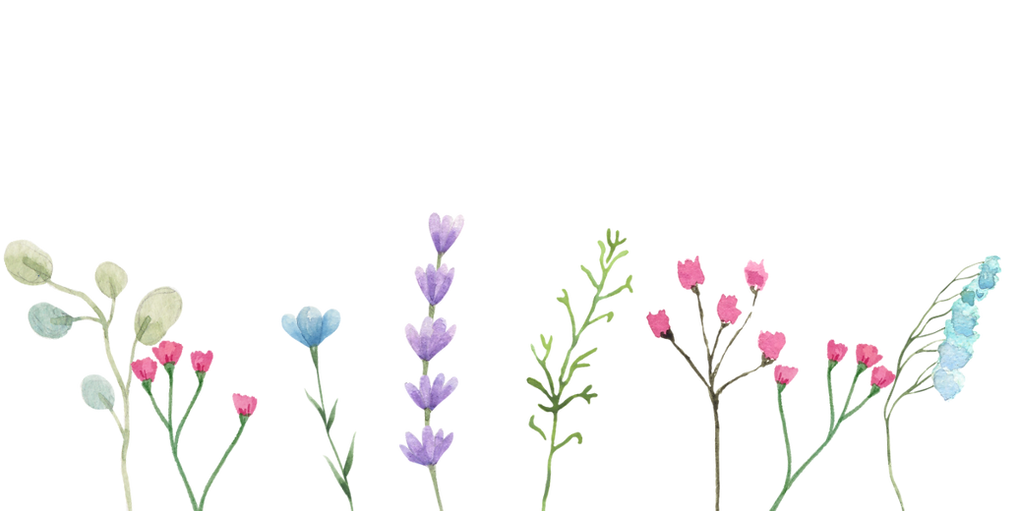 Primavera spring flowers.