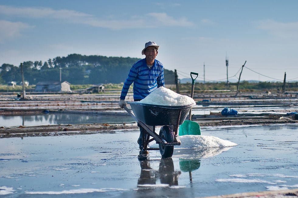 Thumbnail: [Sound of Salt] Table Set Shiitake Mushroom Salt