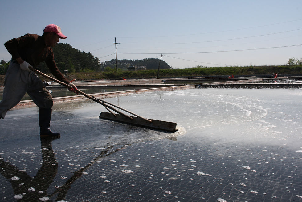 Thumbnail: [Sound of Salt] Table Set Shiitake Mushroom Salt