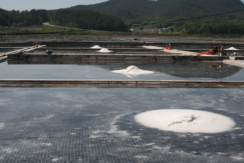 Thumbnail: [Sound of Salt] Table Set Shiitake Mushroom Salt