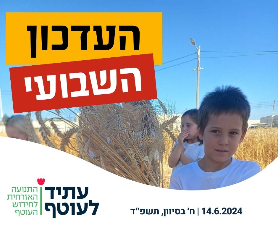 צילום מתוך פעילות התנועה, בהקשר לנושא הפרסום