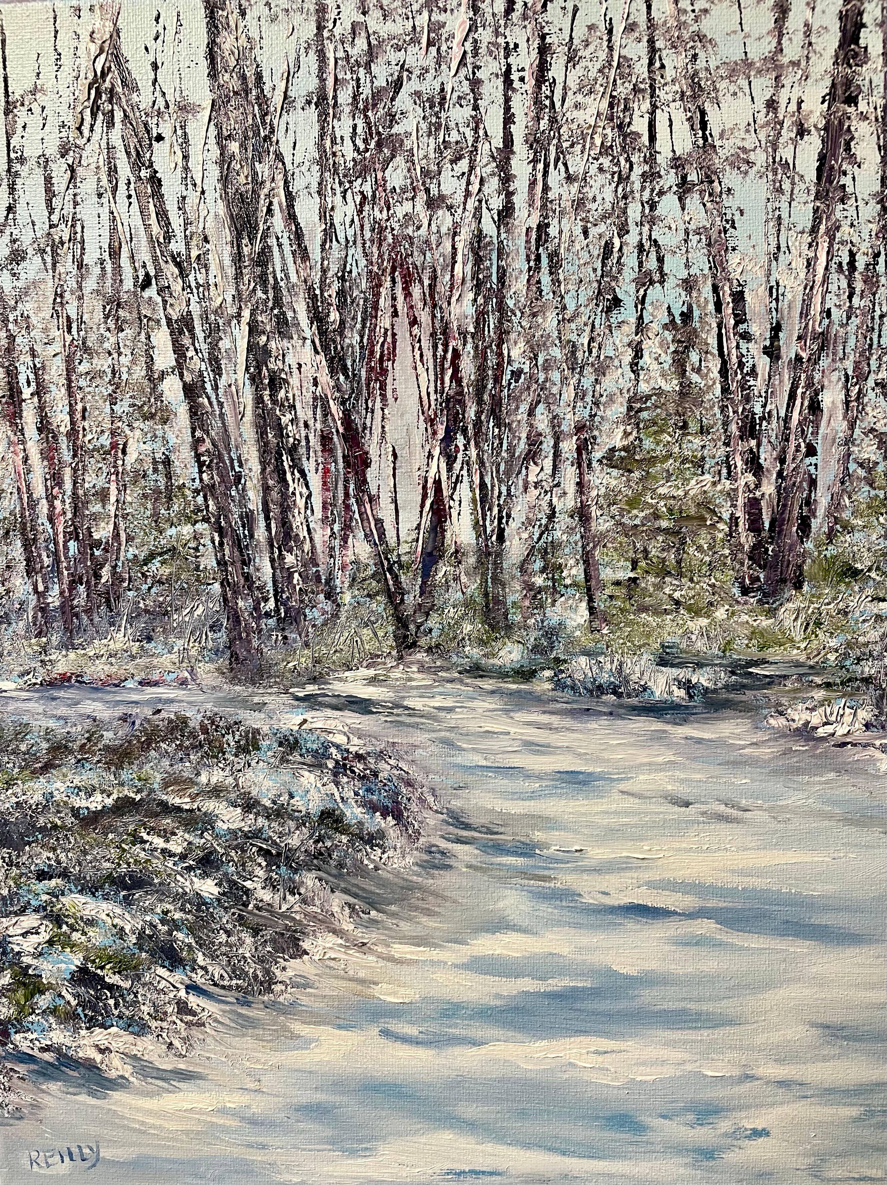 Snow in Woods