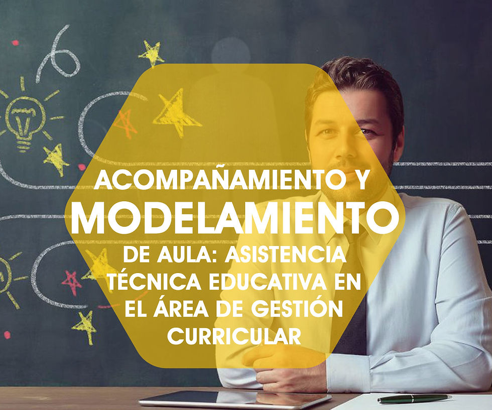 ACOMPAÑAMIENTO Y MODELAMIENTO DE AULA