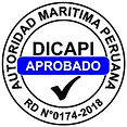 Logo DICAPI Dirección General de Capitanías y Guardacostas