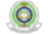 KSA-forces