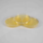 Sabouraud Dextrose Agar Plates NZ