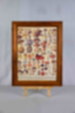 Vintage French Mushroom Chart - Framed Art Print NZ