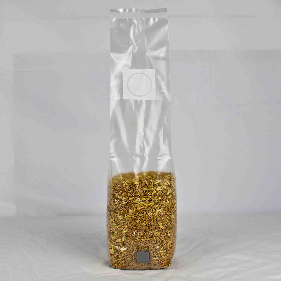 Sterile Grain (wheat) in Filter Patch Bag with Injection Port NZ
