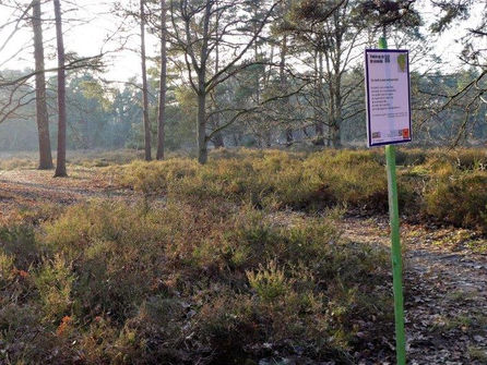 Gedicht van de maand | JANUARI